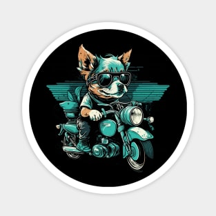 Cool dog ride motorbike Magnet